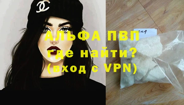 стаф Алексин
