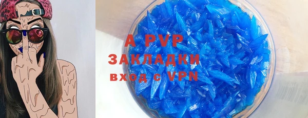 стаф Алексин