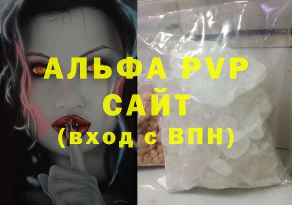 стаф Алексин
