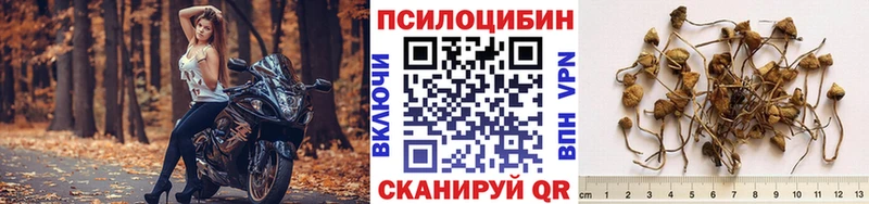 Галлюциногенные грибы мухоморы блэк спрут зеркало Алексин закладки