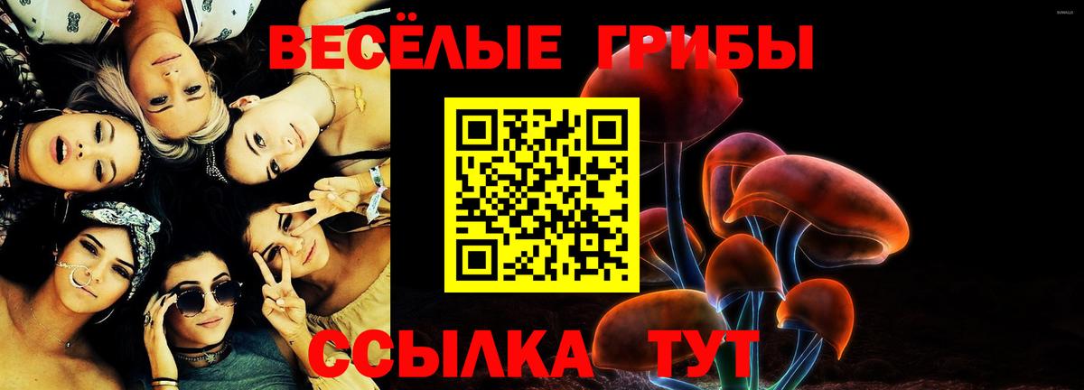 Псилоцибиновые грибы мухоморы Алексин